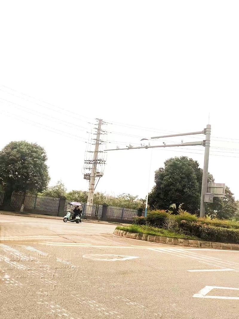 菲尼特道路監控桿